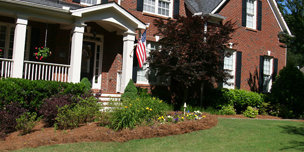 Brick house with a landscaped garden featuring pine straw mulch, under a clear blue sky